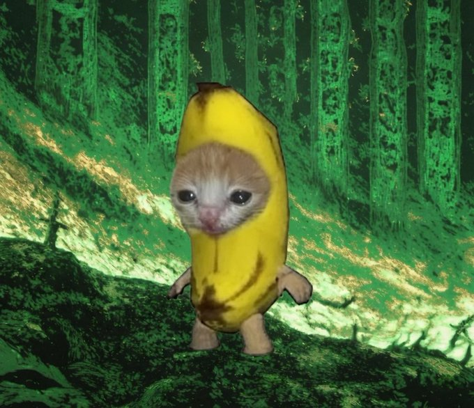 Banana Cat meme 2